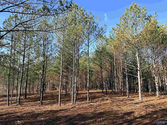 5.6 Acres of Land for Sale in Centre, Alabama