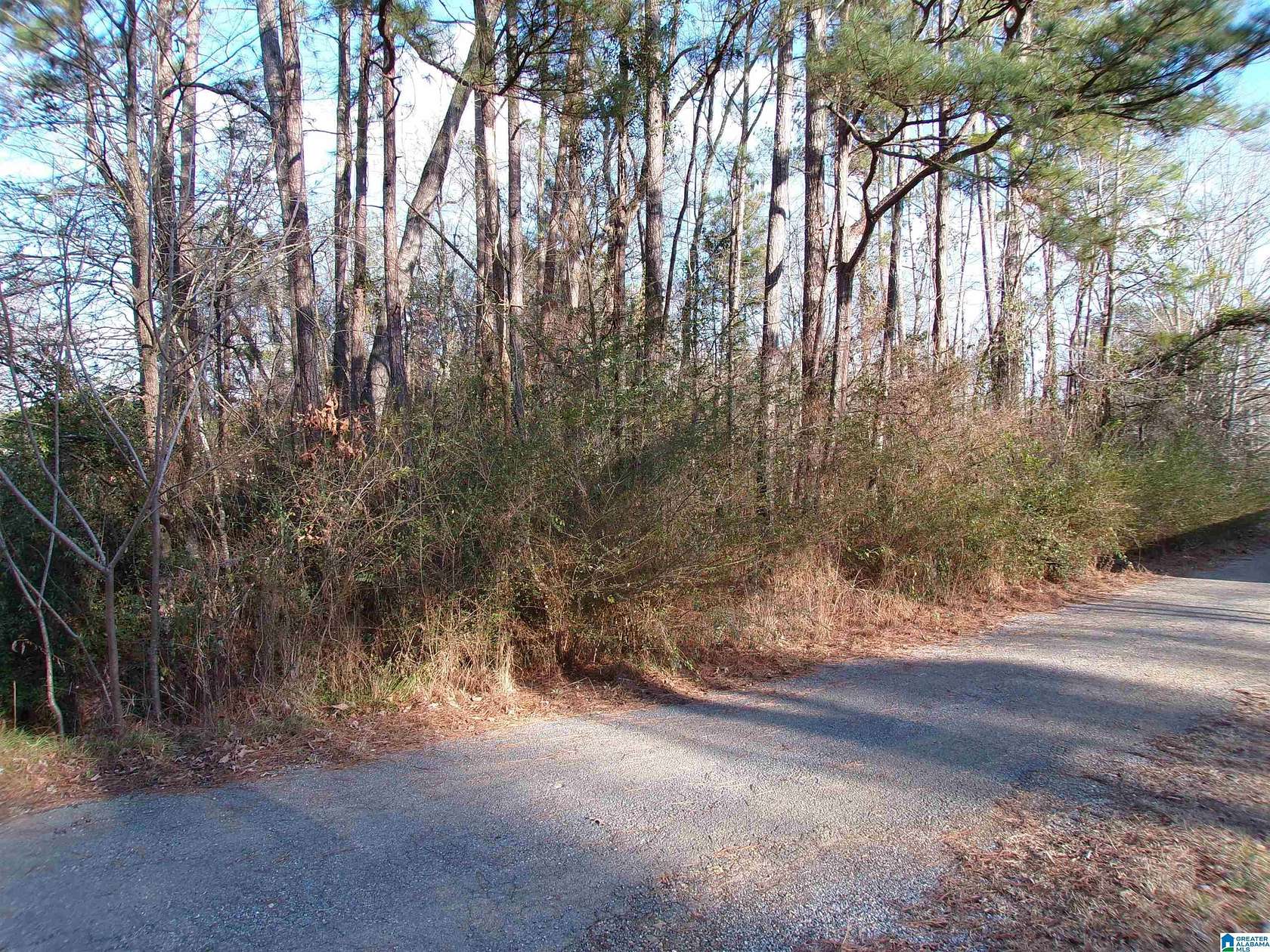 0.5 Acres of Land for Sale in Lincoln, Alabama