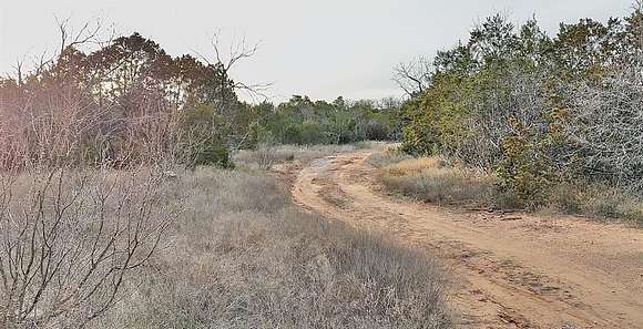 54.4 Acres of Land for Sale in Santa Anna, Texas