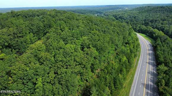301 Acres of Land for Sale in Sunbright, Tennessee
