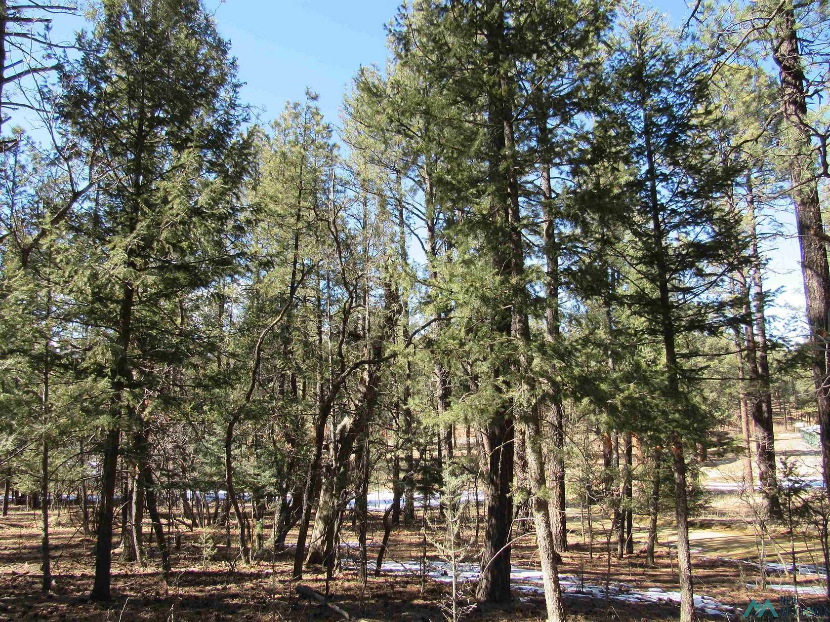 0.55 Acres of Residential Land for Sale in Rociada, New Mexico