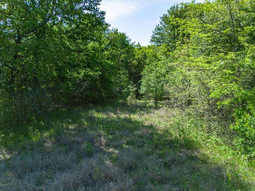 28 Acres of Land for Sale in Paradise, Texas