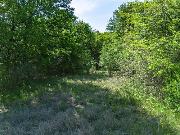 28.03 Acres of Land for Sale in Paradise, Texas