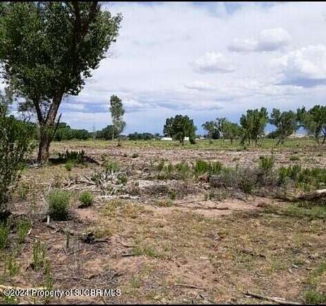 26 Acres of Land for Sale in Bloomfield, New Mexico