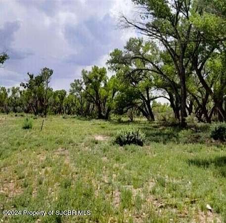 26 Acres of Recreational & Residential Land for Sale in Bloomfield, New Mexico