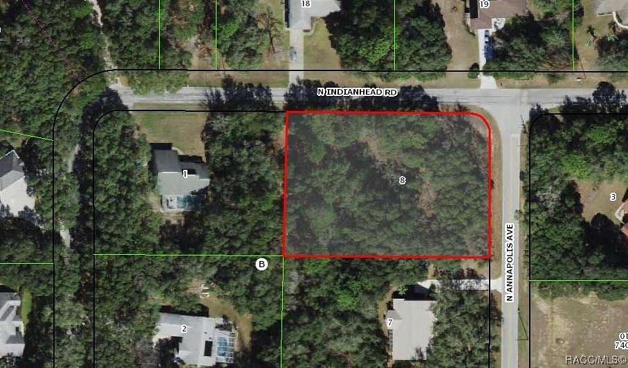 1.04 Acres of Residential Land for Sale in Hernando, Florida