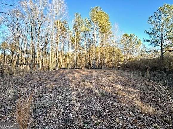2 Acres of Residential Land for Sale in Hampton, Georgia
