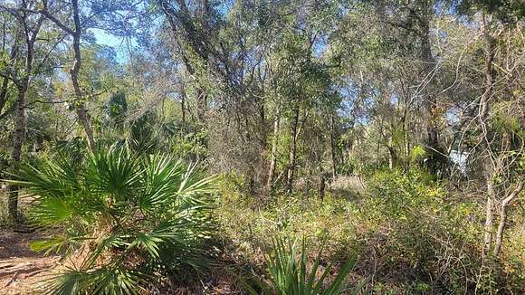 0.24 Acres of Residential Land for Sale in Cedar Key, Florida