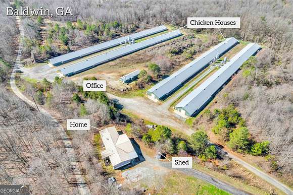 25 Acres of Land with Home for Sale in Baldwin, Georgia