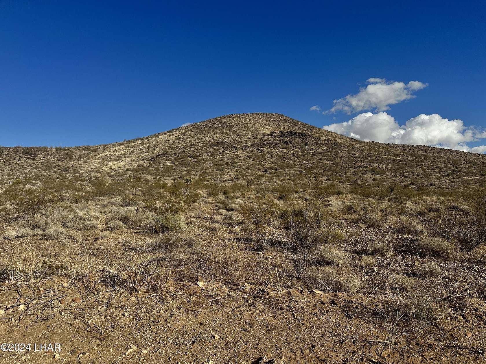 43.84 Acres of Land for Sale in Golden Valley, Arizona