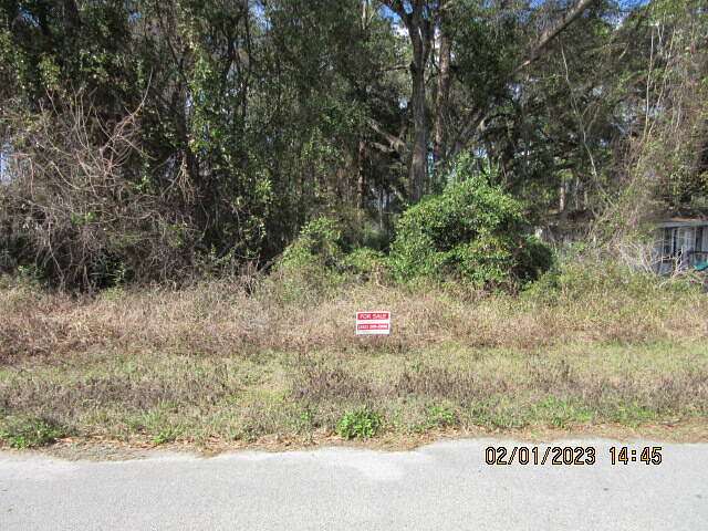 0.25 Acres of Land for Sale in Ocklawaha, Florida