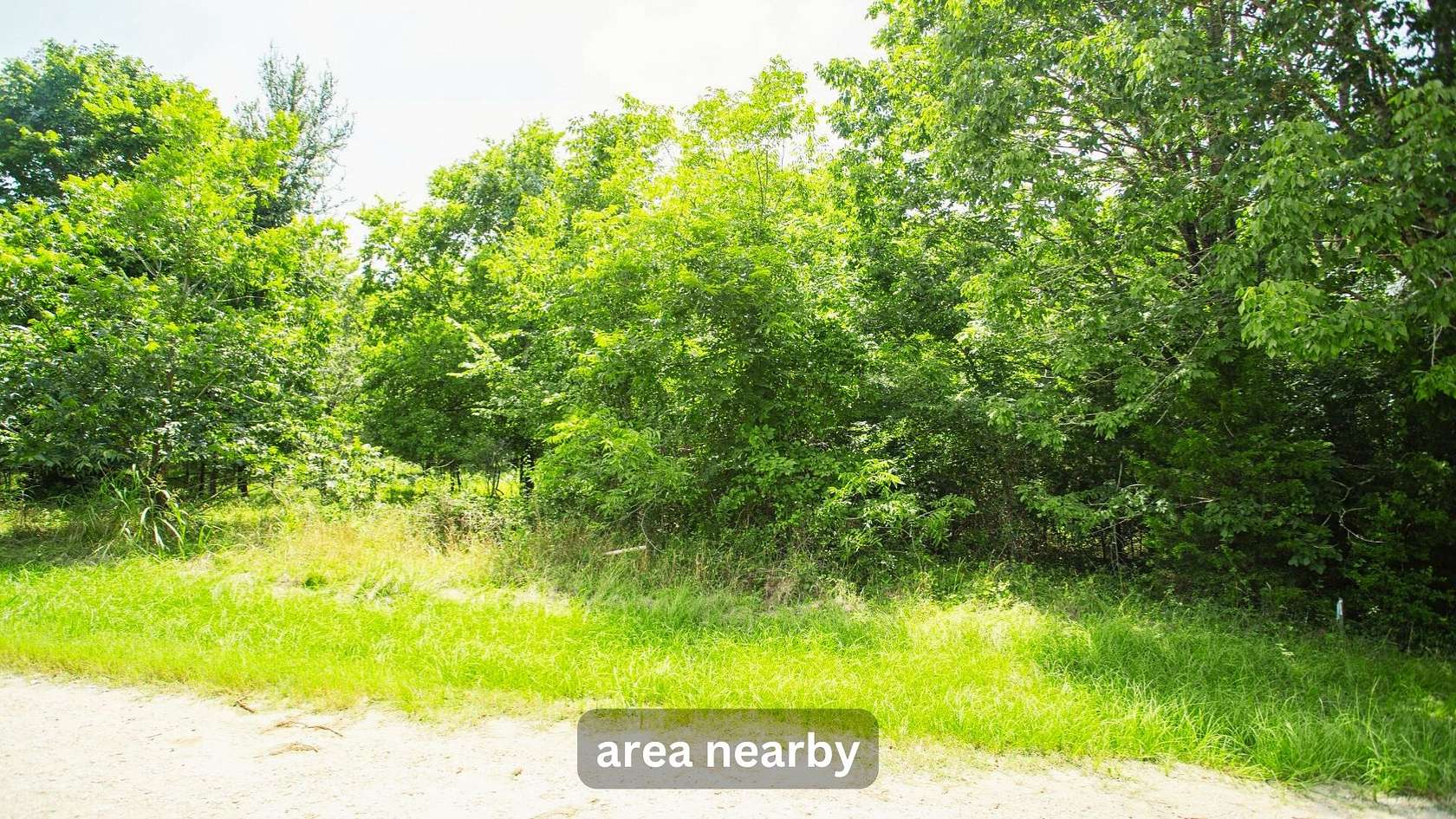 0.49 Acres of Residential Land for Sale in Trinity, Texas