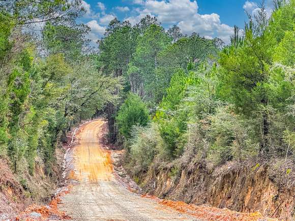 44.88 Acres of Recreational Land & Farm for Sale in Caryville, Florida