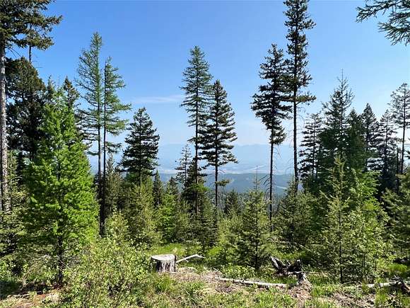 23.4 Acres of Recreational Land for Sale in Kalispell, Montana