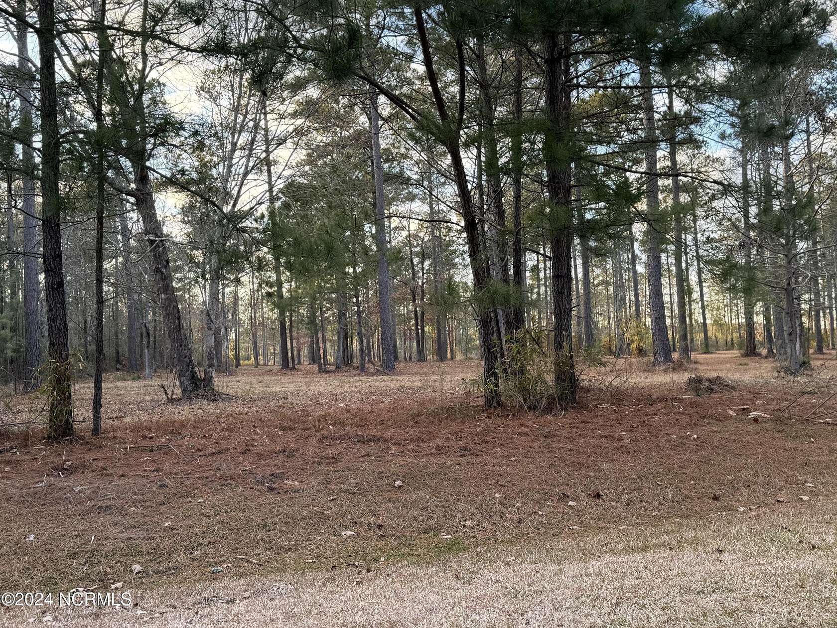 2.5 Acres of Residential Land for Sale in Belhaven, North Carolina