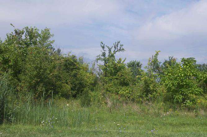 0.9 Acres of Commercial Land for Sale in Lemont, Illinois