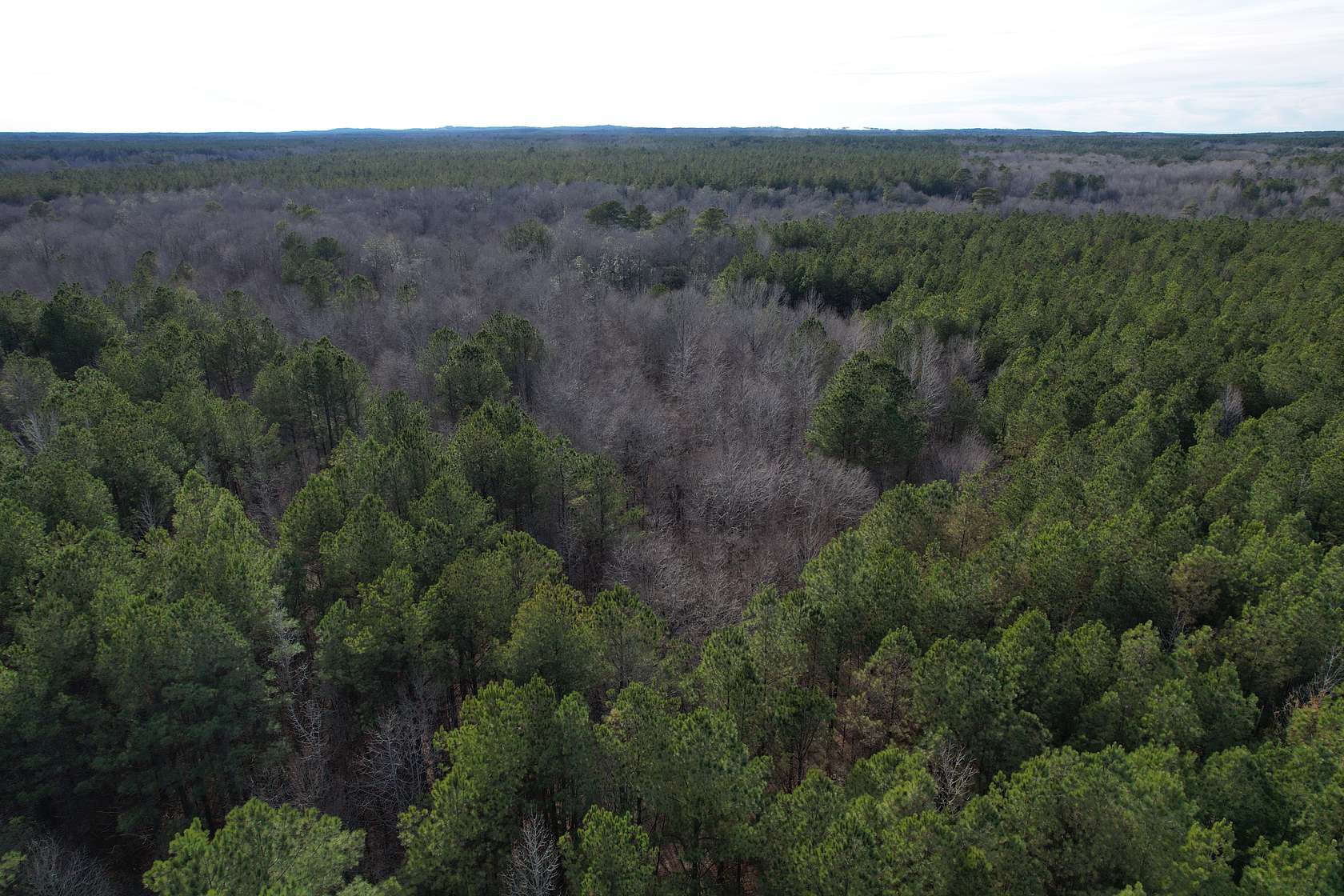 90 Acres of Recreational Land for Sale in McCool, Mississippi