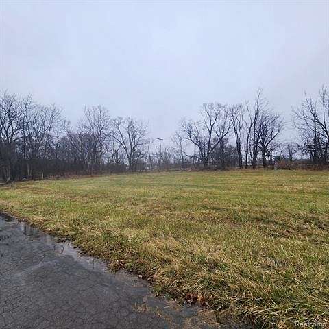 0.06 Acres of Residential Land for Sale in Detroit, Michigan