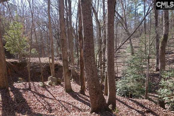 1.5 Acres of Residential Land for Sale in Liberty Hill, South Carolina