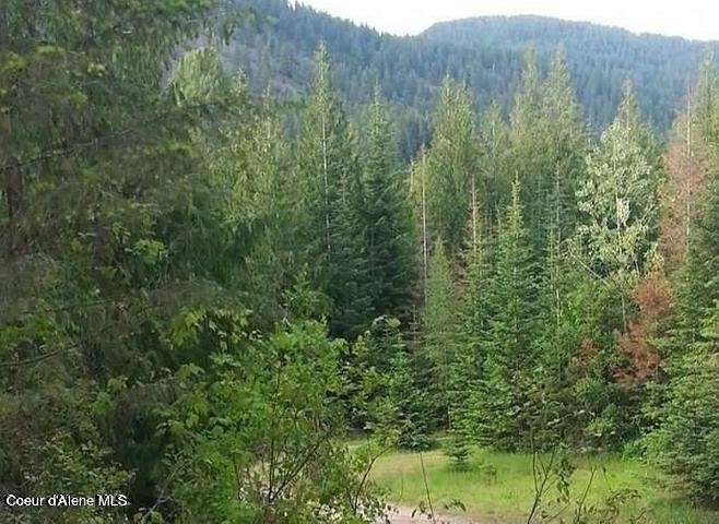 0.56 Acres of Land for Sale in Bayview, Idaho
