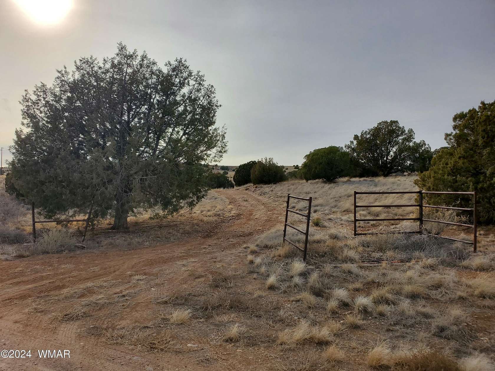 53.7 Acres of Agricultural Land for Sale in Taylor, Arizona