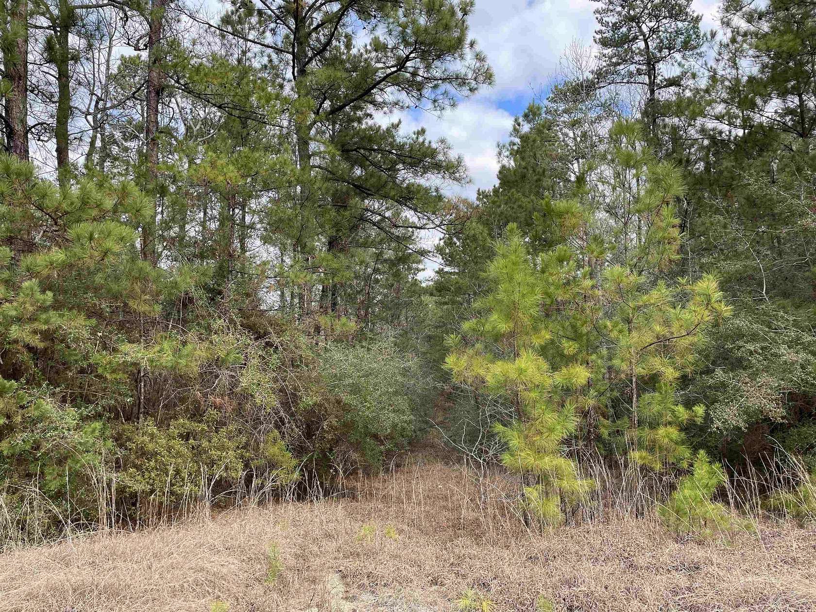 0.39 Acres of Residential Land for Sale in Brookeland, Texas