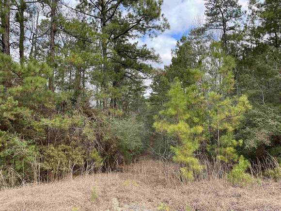 0.39 Acres of Residential Land for Sale in Brookeland, Texas