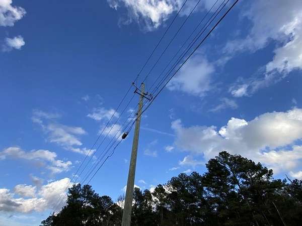 58 Acres of Land for Sale in Headland, Alabama