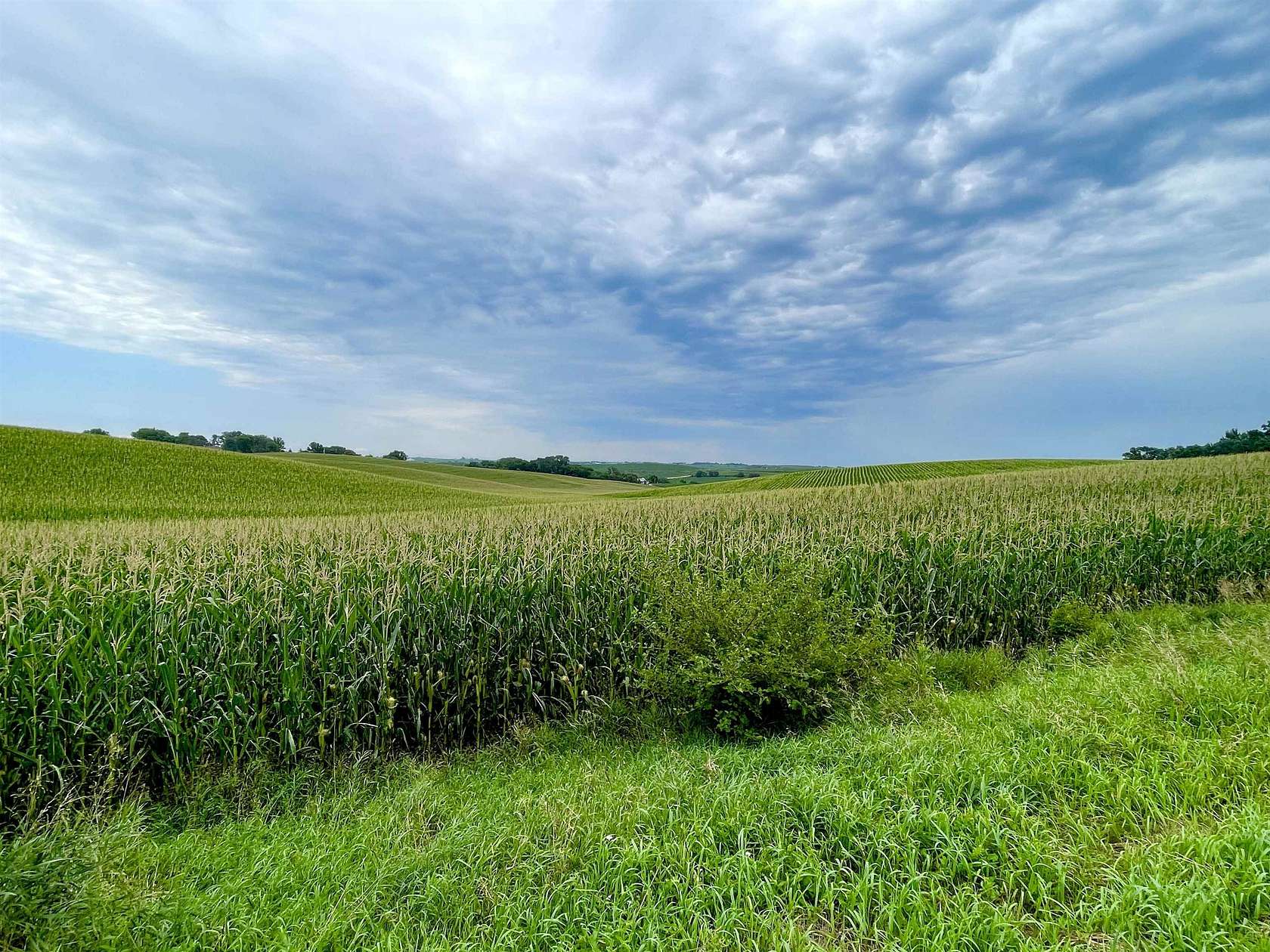 105.13 Acres of Land for Sale in Sergeant Bluff, Iowa