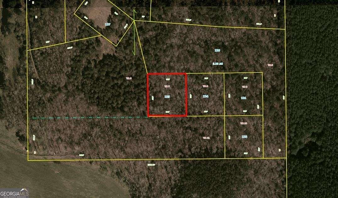 1 Acre of Land for Sale in Silver Creek, Georgia
