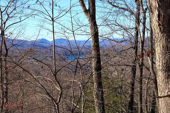 Residential Land for Sale in Hiawassee, Georgia
