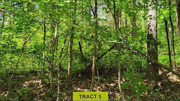 5 Acres of Residential Land for Sale in East Bernstadt, Kentucky