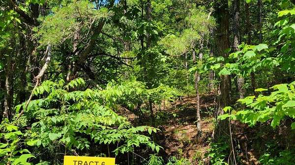 5 Acres of Residential Land for Sale in East Bernstadt, Kentucky