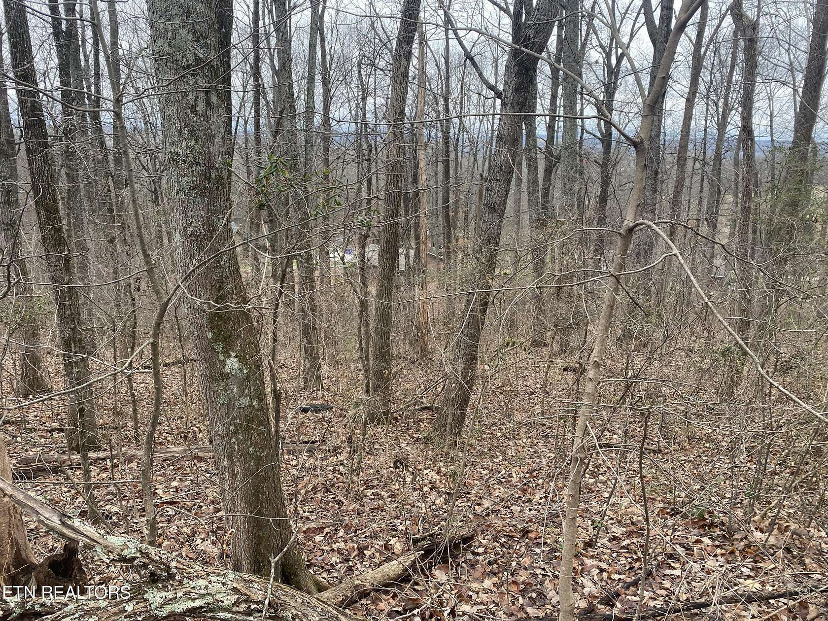 0.86 Acres of Residential Land for Sale in Sweetwater, Tennessee