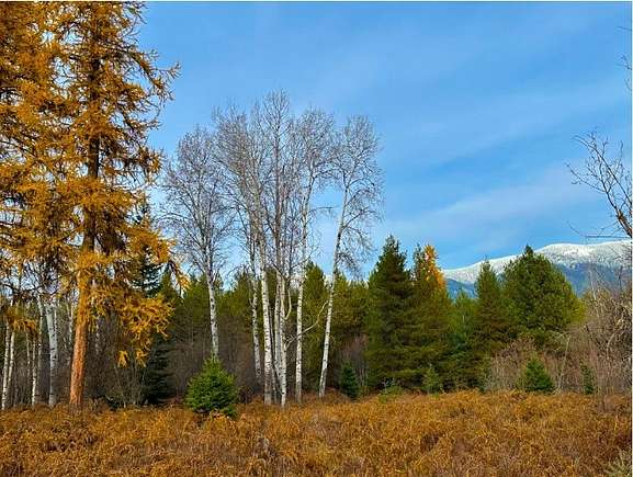 20.1 Acres of Land for Sale in Trout Creek, Montana