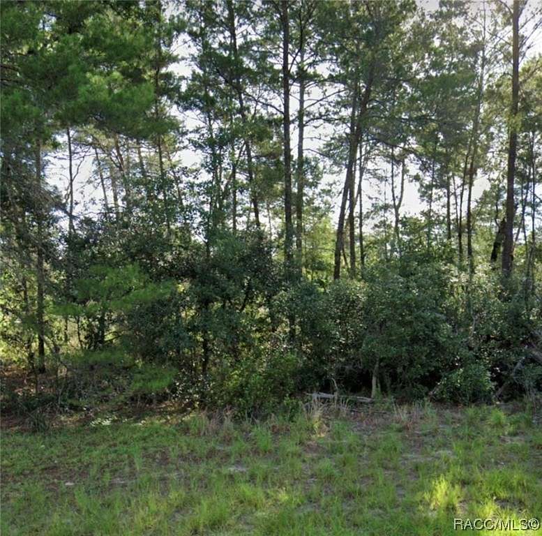 0.26 Acres of Residential Land for Sale in Ocala, Florida