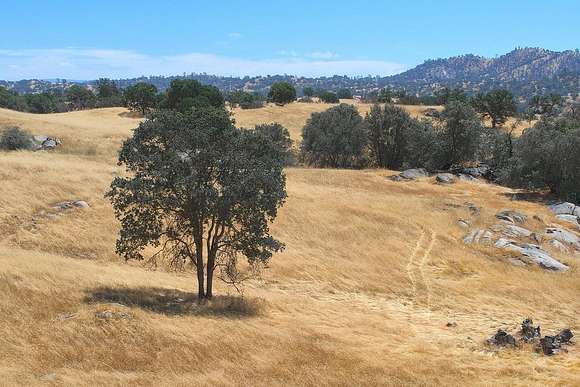 36.9 Acres of Agricultural Land for Sale in Friant, California
