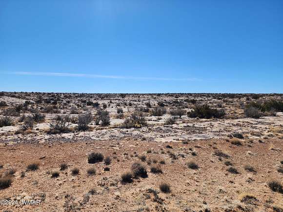 41.7 Acres of Recreational Land for Sale in Winslow, Arizona