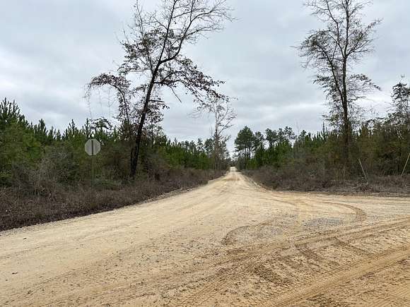 76.2 Acres of Recreational Land & Farm for Sale in Chipley, Florida