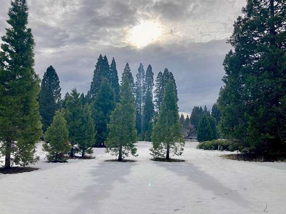 5.1 Acres of Residential Land for Sale in Mount Shasta, California