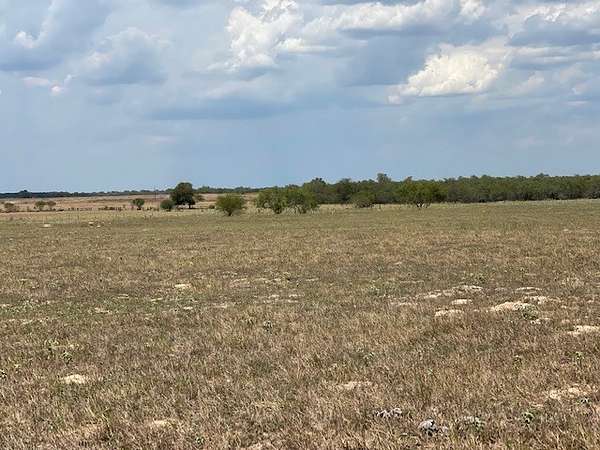 10 Acres of Land for Sale in Floresville, Texas