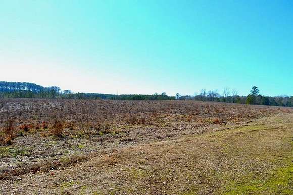 8 Acres of Land for Sale in McComb, Mississippi