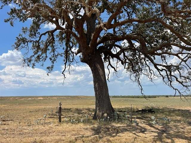 10.01 Acres of Land for Sale in Floresville, Texas