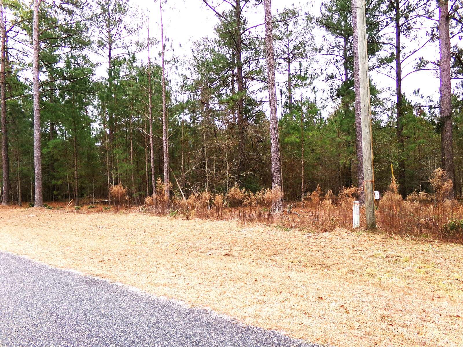 1.12 Acres of Residential Land for Sale in Swainsboro, Georgia