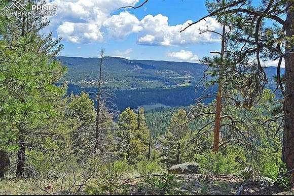 51.5 Acres of Recreational Land for Sale in Woodland Park, Colorado