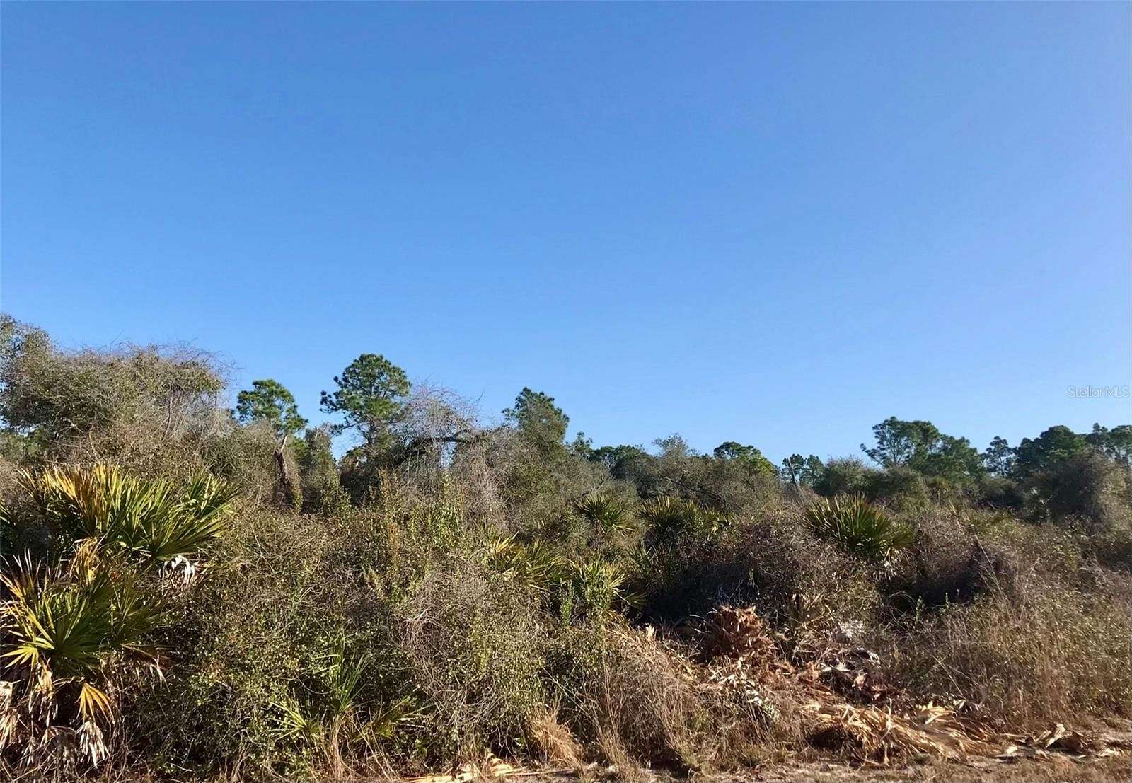 0.3 Acres of Residential Land for Sale in Alva, Florida