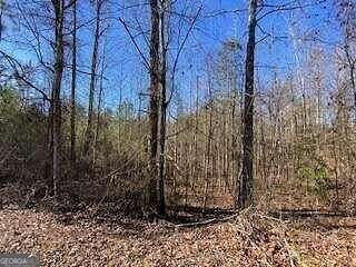 3 Acres of Land for Sale in Ellijay, Georgia