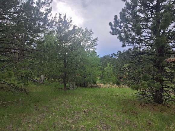 5.4 Acres of Land for Sale in Westcliffe, Colorado