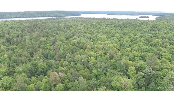 140 Acres of Recreational Land & Farm for Sale in Champion, Michigan
