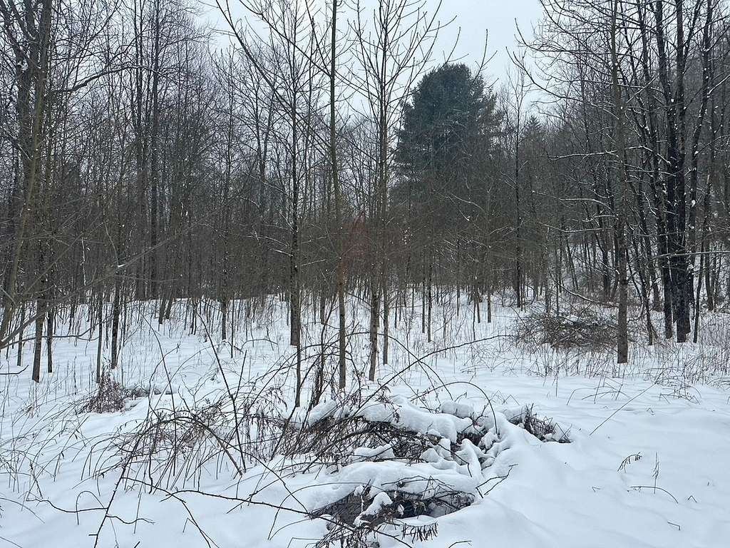 1.6 Acres of Land for Sale in Penfield, Pennsylvania